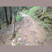 Gschicht#121-Discovogel