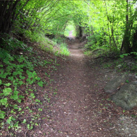 Gschicht#50-Dä Wäg vom Läbe