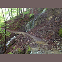 Gschicht#27-Waldwägli