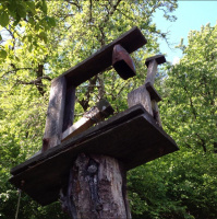 Gschicht#71-Schällewaal