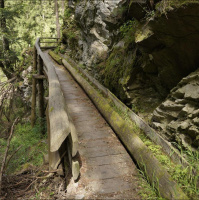Gschicht#42-Min erschte Waalgang