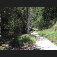 Gschicht#122-Vogeldisco