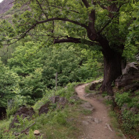 Gschicht#56-Ein Schritt is Tessin