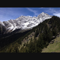 Gschicht#67-Flinks Büsi