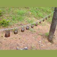 Gschicht#37-Bäreblues