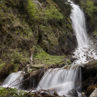 Gschicht#44-Dä Adonis wäsche