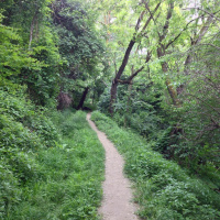 Gschicht#58-Wääg isch wägg