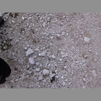 Gschicht#146-Dunnerwätter