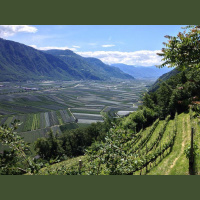 Gschicht#75-Immer richtig Booze