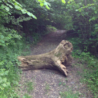 Gschicht#43-Ojee, Odüssee