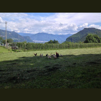 Gschicht#76-Booze in Sicht!