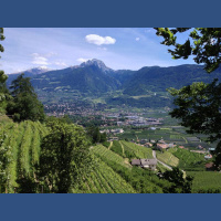 Gschicht#72-Luuter nätti Mänsche