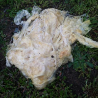 More aftermath commentary