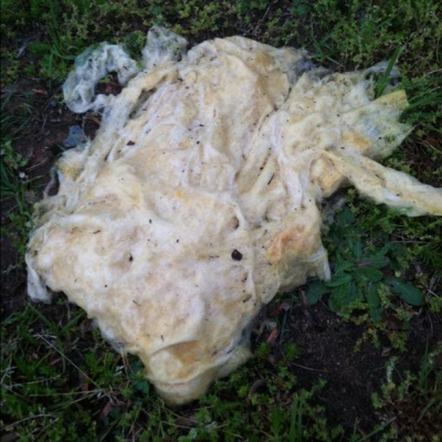 John Van Pelts Posts