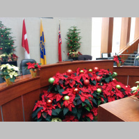 Weekly Roundup Podcast for the week ending December 20, 2014