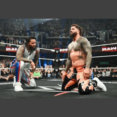 Wreds.de - Wrestling Diaries