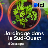 La sélection de livres de la jardinière Estelle Alquier à retrouver au pied du sapin-partie 2