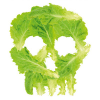 Swallow This: A podcast with Joanna Blythman Part 1