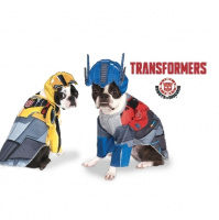 Australian Transformers Weekly Episode 252, February 6 2022