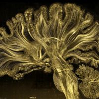 AI: Something to Fear or Something Else?