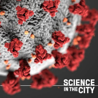 COVID-19 Numbers: ‘Put It In Perspective’