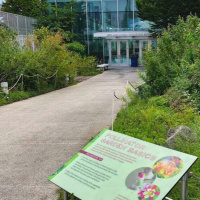 Exhibits Hiding In Plain Sight