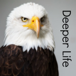 Deeper Life With Bill Stephenson