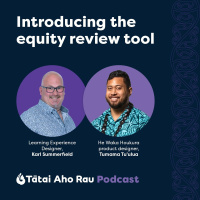 Equity Self Review Tool - Karl And Tumama Talanoa