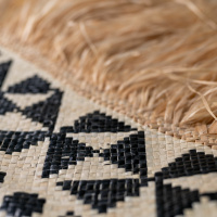 Aotearoa NZ histories : Adapting in our education settings - Matalena and Sione