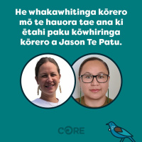 He Whakawhitinga Kōrero Mō Te Hauora Tae Ana Ki Ētahi Paku Kōwhiringa Kōrero A Jason Te Patu