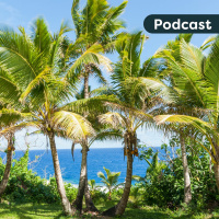 The importance of ANZH on the past, present and future of New Zealand born Niueans