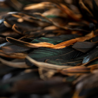 Development of the educational landscape, A kōrero with Andrew Auimatagi and Matalena Tuiloma