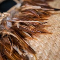 Learning te reo Māori for everyday use | Tātai Aho Rau Core Education