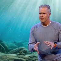 Does What I Do With My Body Matter?