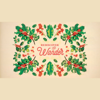 Christmas is About Giving | Rediscover The Wonder: Week 3