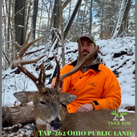 TAP-262 Public Land Ohio Buck with Jeremy Franklin