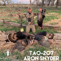 TAO-207 Aron Snyder Kifarucast 