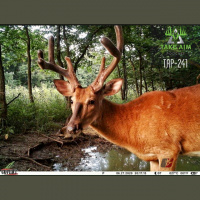 TAP-241 Summer tips for scouting w/Blake Garrett 