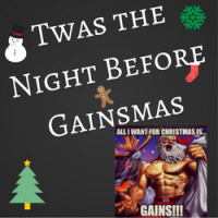 Twas the Night Before Gainsmas
