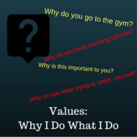 What Are YOUR Values? (Why I Train Part Deux)