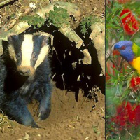 People pick and choose wildlife