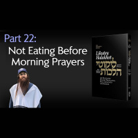 Lekutei Halachot Lessons #22 - Orach Chaim, Laws of Morning Conduct 3:5