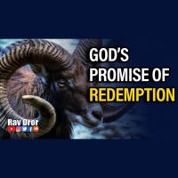 The Redemption Is Coming. Its Guaranteed.