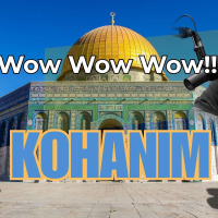 Wow Wow Kohanim on the Temple Mount: Bible Prophecy and Controversy