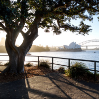 Cities and the regions: a growing divide? - Sydney