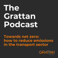 Towards net zero: how to reduce emissions in the transport sector