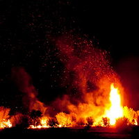 Could the bushfire crisis be the turning point for climate policy in Australia?