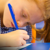 Measuring student progress: A state-by-state report card