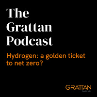 Hydrogen: a golden ticket to net zero?