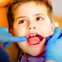 Filling the gap: A universal dental care scheme for Australia